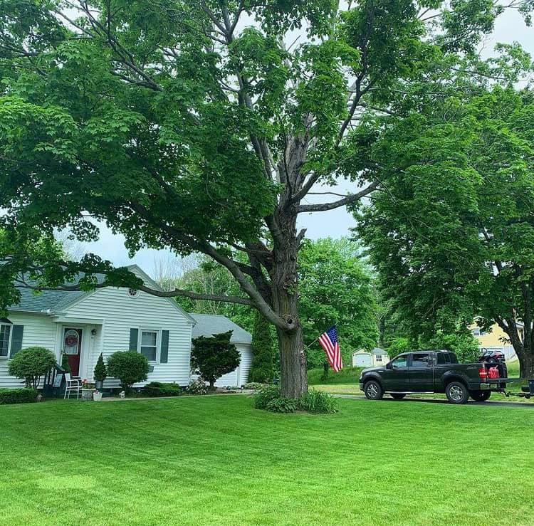 mowing